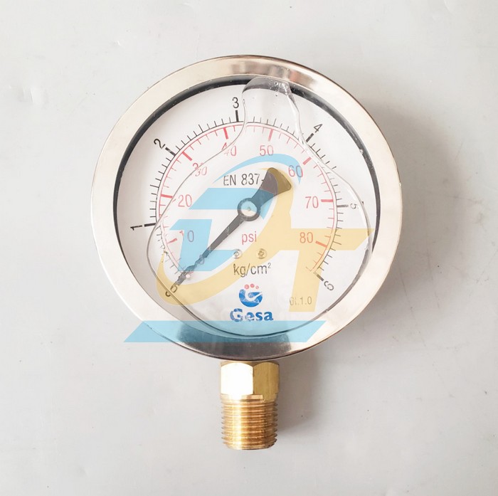Đồng hồ đo áp suất 100mm 0-6kgf/cm2 GESA (Chân đứng ren 21mm)