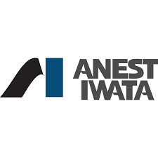 Anest-Iwata